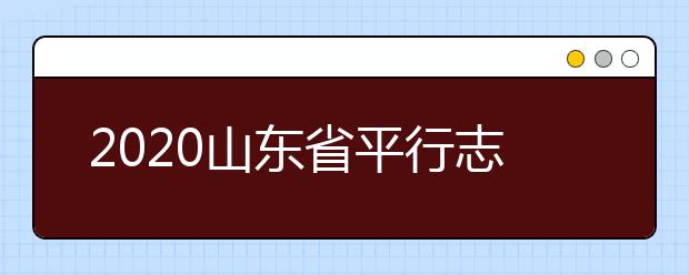 2020山東省平行志愿怎么報？平行志愿分幾類？