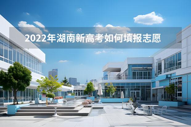 2022年湖南新高考如何填報(bào)志愿